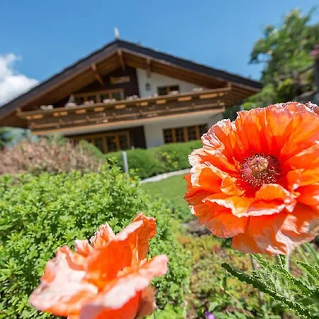 Foersterli West * 格雷兴